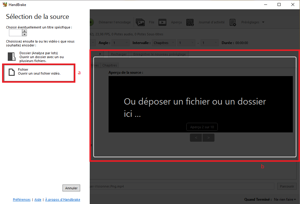 Utilisation de handbrake: Sélectionnez un fichier vidéo