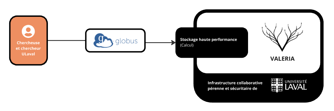 Tranfert de données Transfert de données